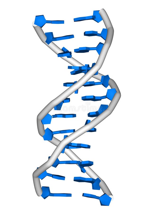 DNA molecule royalty free illustration