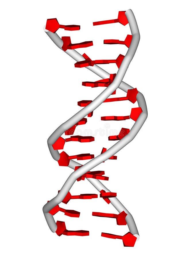 DNA molecule stock illustration