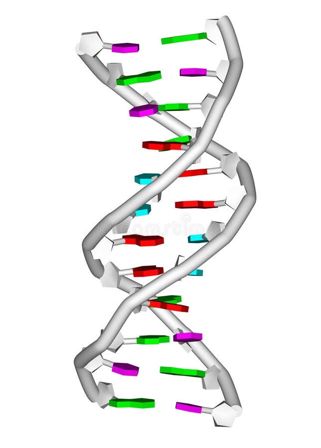 DNA molecule royalty free illustration