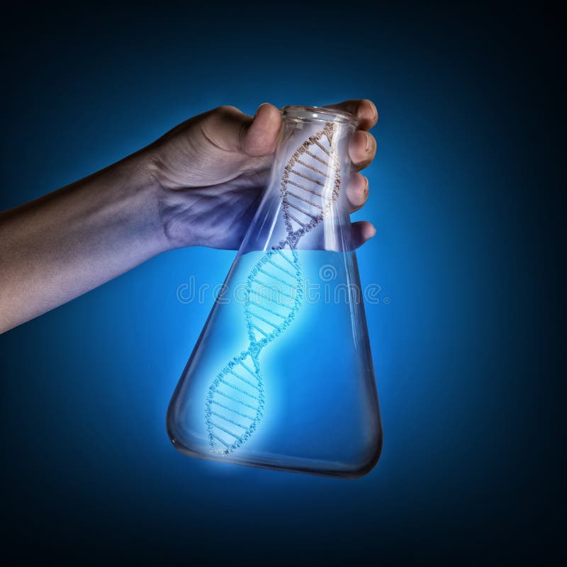 DNA molecule