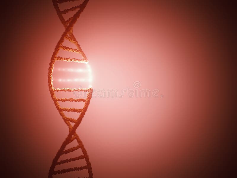 DNA Molecule Helix Genetic Code