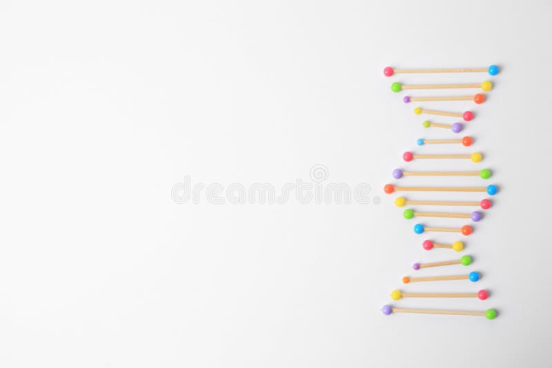 DNA Molecule Model Made of Toothpick and Colorful Beads on White Background, Flat Lay. Space for