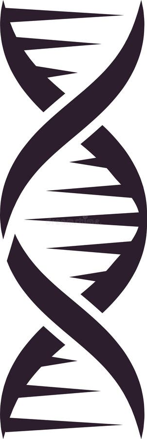 Dna molecule rotating forming double helix structure, concept of genetic engineering and genome modification, scientific stock images