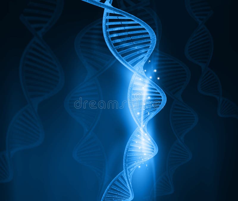 DNA molecules