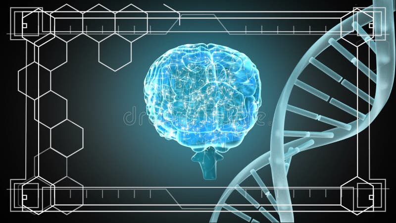 DNA och rotera för hjärna