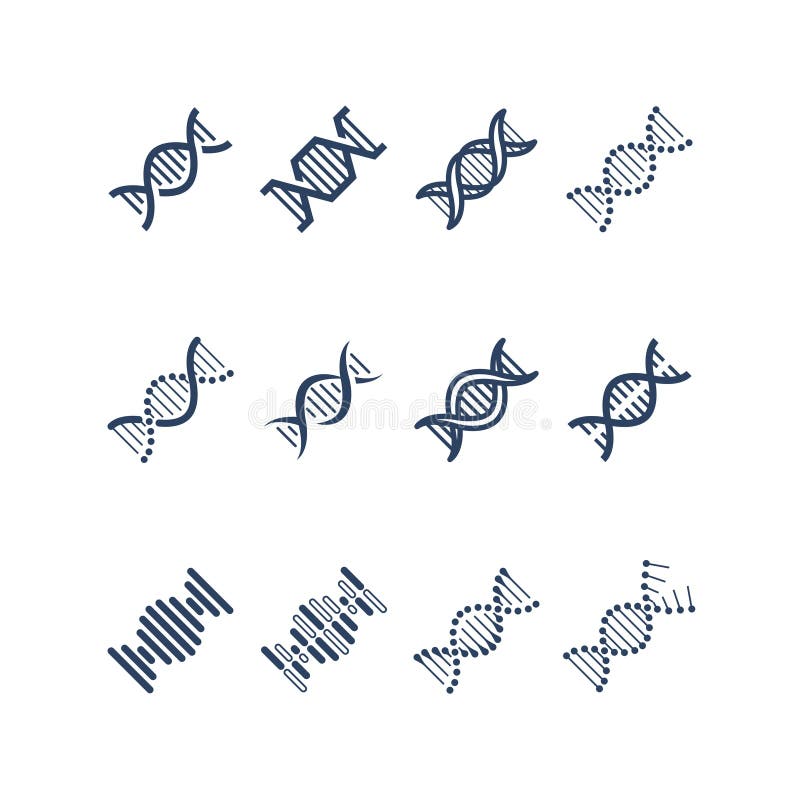 Dna spirali molekuły struktury wektoru ikony Genetyka badanie i chromosom inżynierii symbole royalty ilustracja Dna spirali molekuły struktury wektoru ikony Genetyka badanie i chromosom inżynierii symbole royalty ilustracja