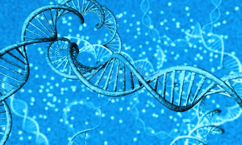 Nucleic acid containing the genetic instructions. Nucleic acid containing the genetic instructions