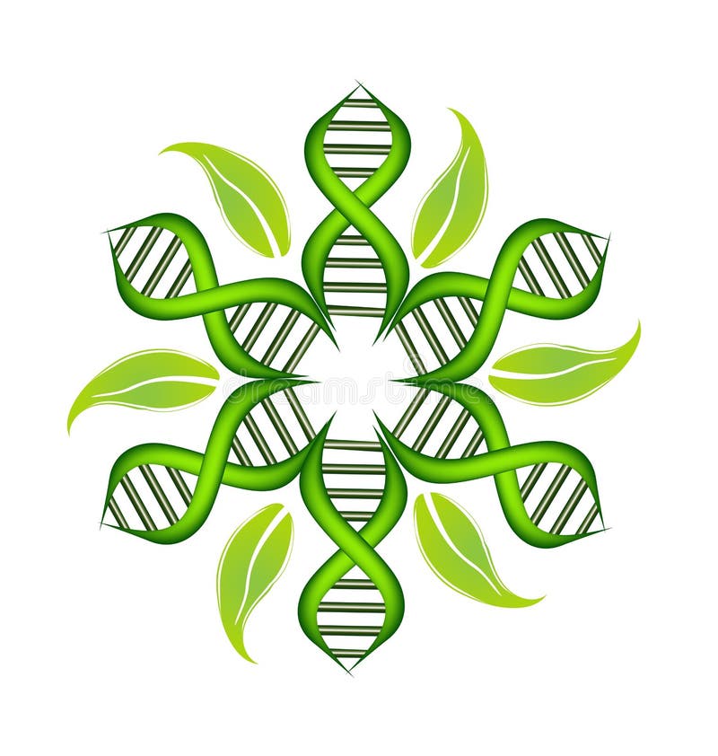 DNA Strands with Leafs Logo Stock Vector Illustration of artwork