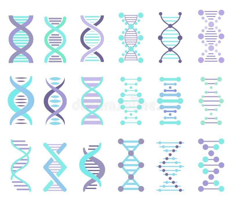 DNA Strands Set vector illustration DNA Strands Set vector illustration
