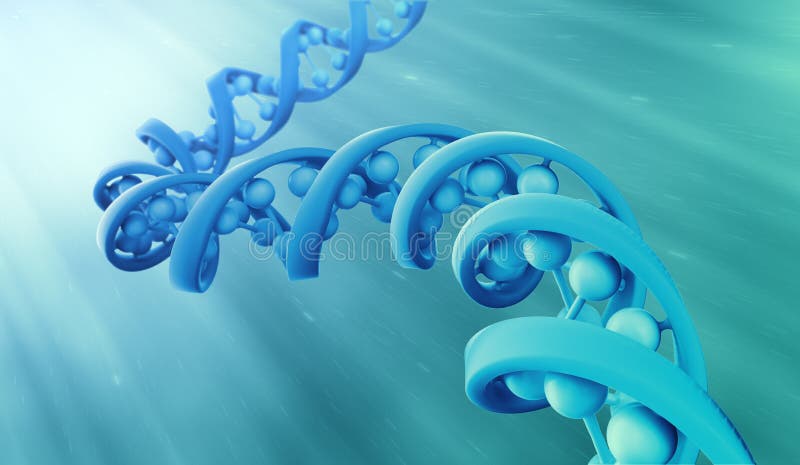 DNA-Strangs-Modell lizenzfreie abbildung DNA-Strangs-Modell lizenzfreie abbildung