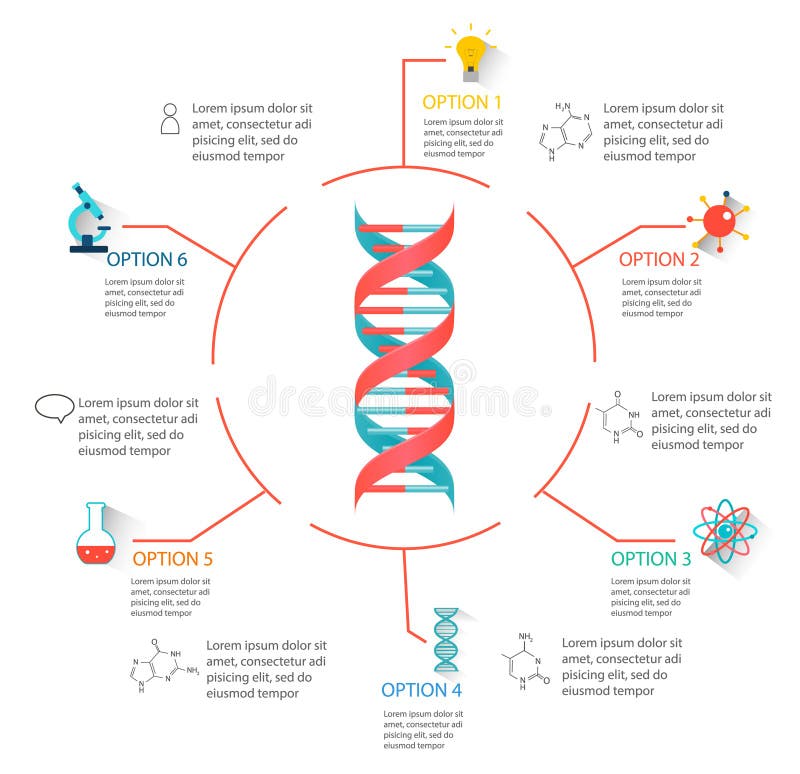 Estructura.