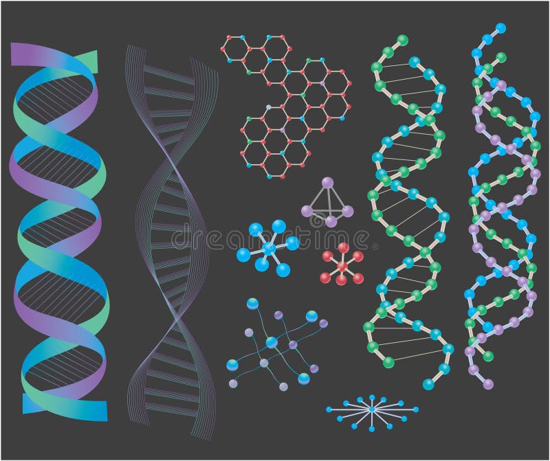 DNA Structures