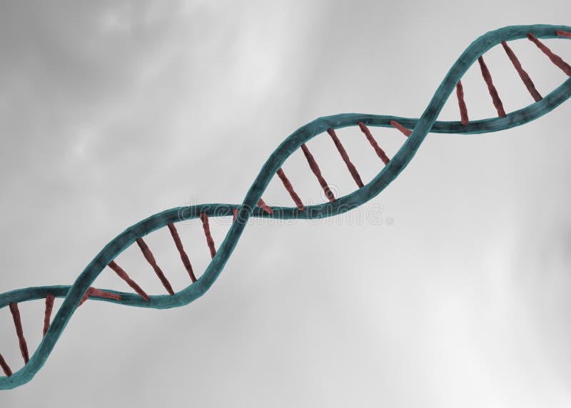DNA-structuur