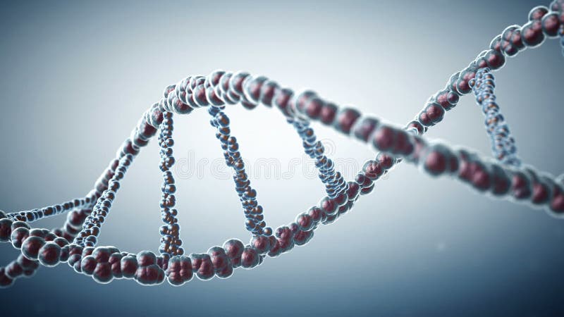 DNA-Vorming