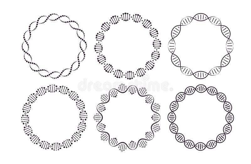 DNA round frames. Circle framing with genome helix structure isolated on white background vector set. Six pattern brushes in panel. Molecular round border for science, biology or medicine. DNA round frames. Circle framing with genome helix structure isolated on white background vector set. Six pattern brushes in panel. Molecular round border for science, biology or medicine