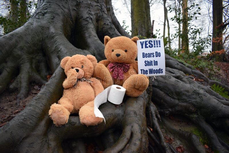 do-bears-shit-woods-photo-two-teddy-holding-sign-saying-yes-85681801.jpg