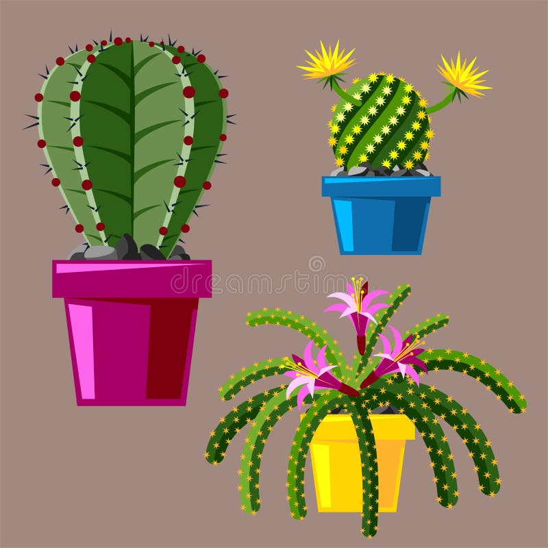 Deserto do cacto dos desenhos animados. Ilustração vetorial plana. Cactos  verdes em flor sobre fundo branco. Plantas de casa decorativas imagem  vetorial de Azazelka© 133686224