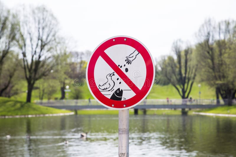 Do Not Feed Ducks Sign stock photo. Image of sign, symbol - 38082556