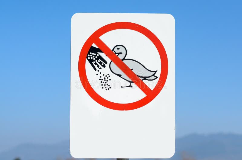 Do Not Feed Ducks Sign stock photo. Image of sign, symbol - 38082556