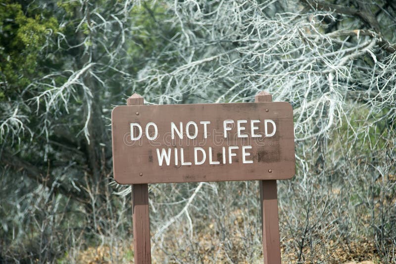 Do Not Feed the Wildlife Sign Stock Photo Image of sign, green 5381366
