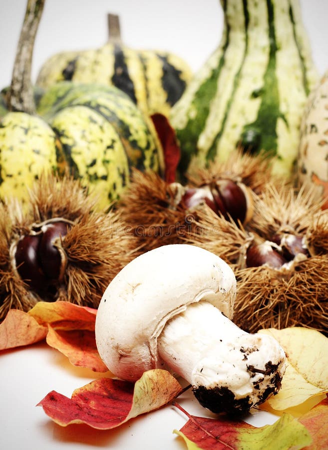 Do outono vida ainda imagens de stock