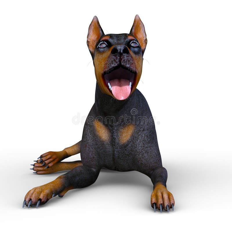 Doberman ilustração do vetor