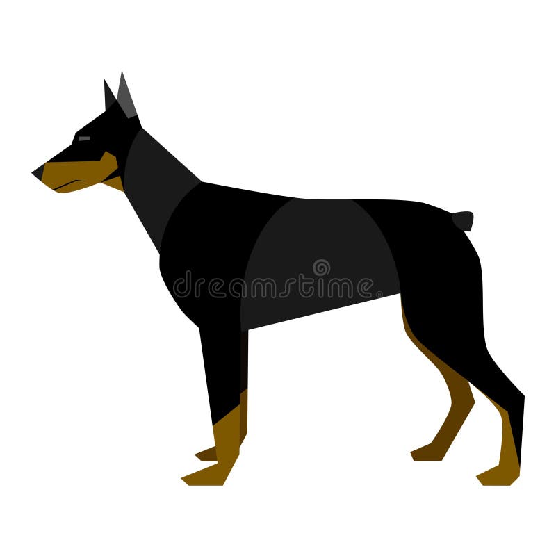 Doberman ilustração stock Doberman ilustração stock