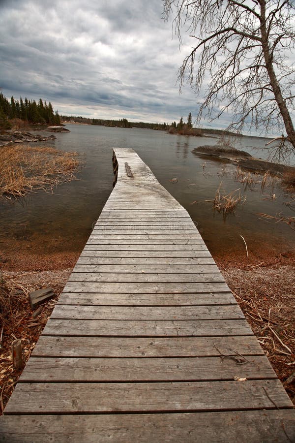 Dock on Reed Lake in Northern Manitoba Stock Photo Image of plants