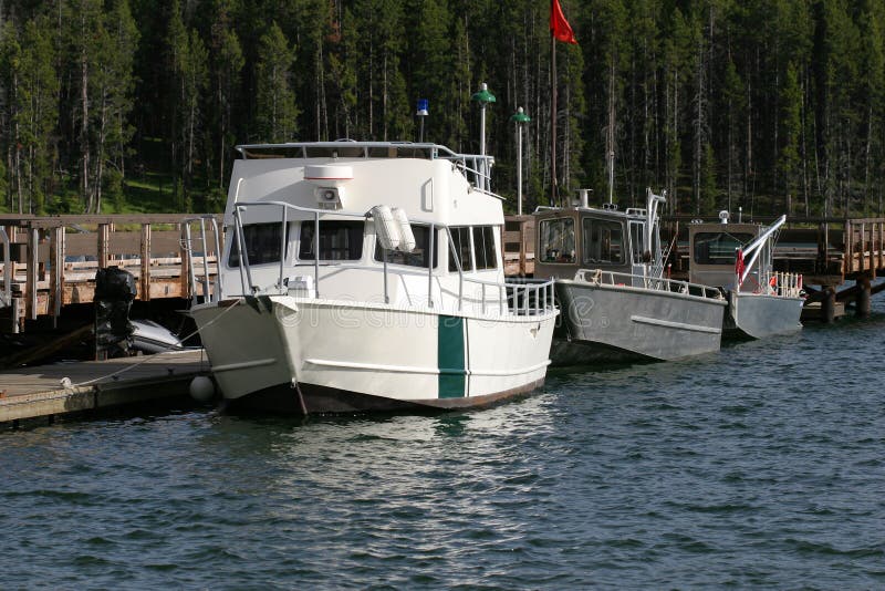 Docked motor boats