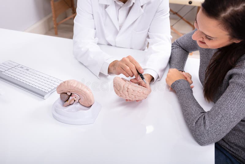 Docteur Explaining Details Of Brain To Woman humain photos libres de droits Docteur Explaining Details Of Brain To Woman humain photos libres de droits