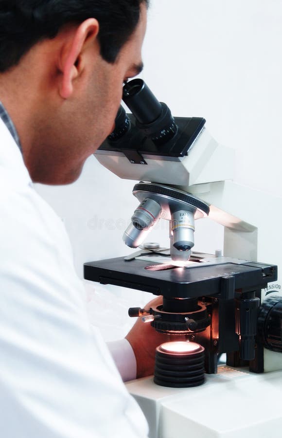 Docteur Using A Microscope photographie stock Docteur Using A Microscope photographie stock