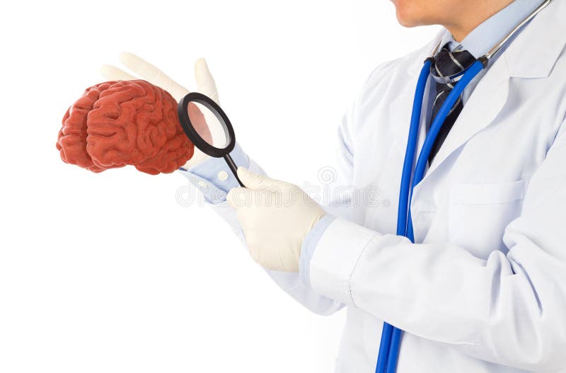 Lekár skontrolovať  trojrozmerný mozog , mozog choroba.