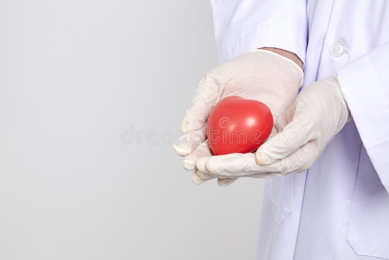 Doctor del cardiólogo que lleva a cabo el corazón rojo