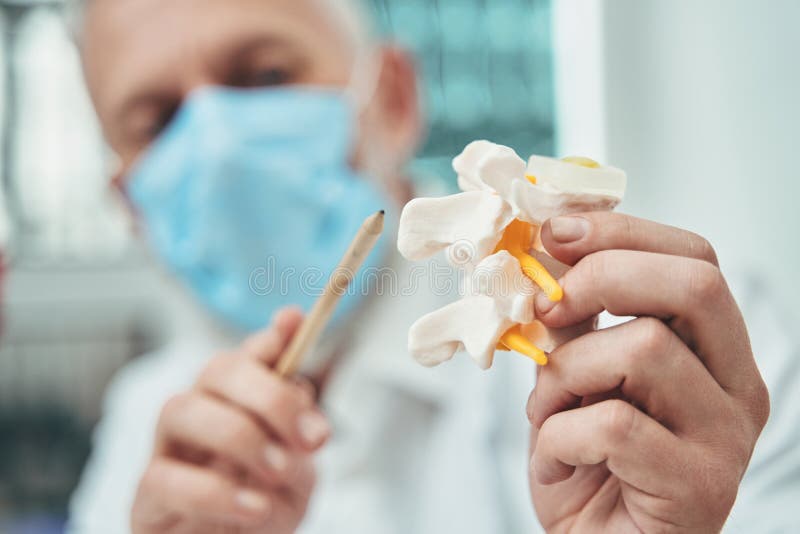 Doctor in a Face Mask Explaining the Spine Anatomy Stock Photo Image