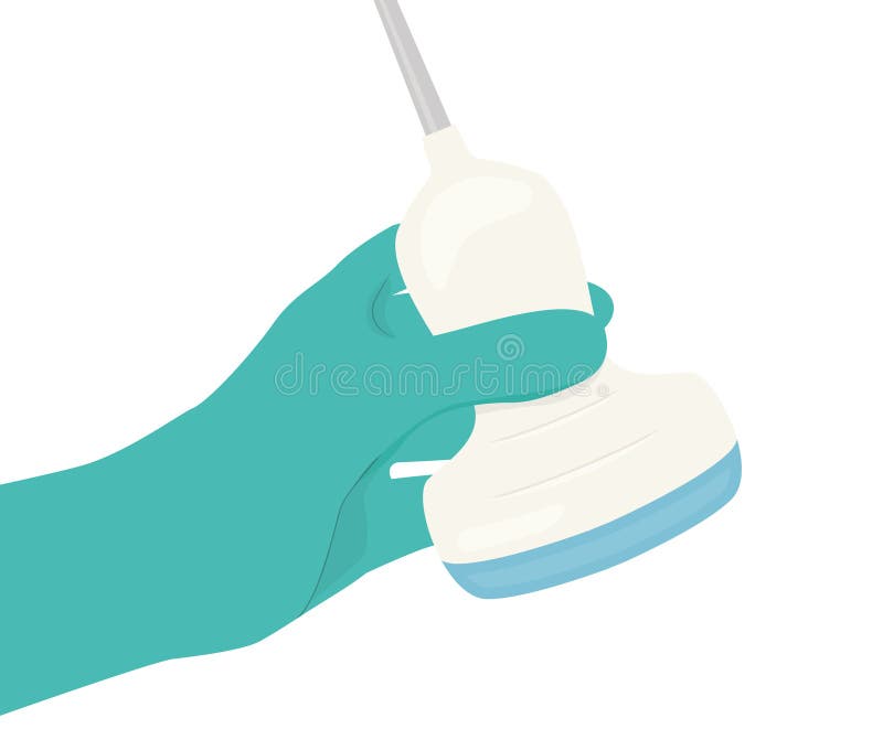 Ultrasound Probe Stock Illustrations – 153 Ultrasound Probe Stock