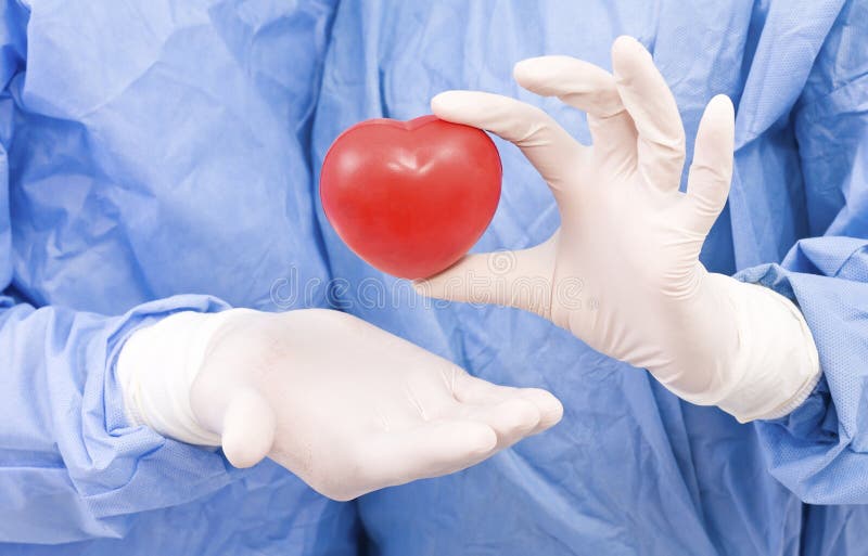 Human Heart in Doctor S Hand Stock Image - Image of concepts, hand: 4948873