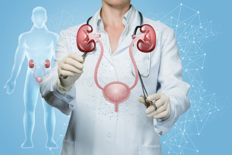 The Doctor Produces a Surgical Treatment of the Urinary System Stock