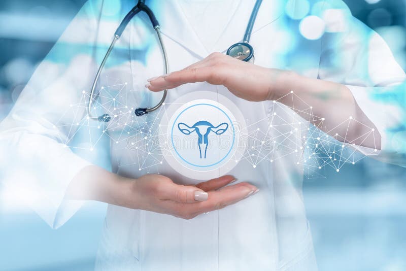 female reproductive system women uterus ovary icon - Stock Illustration  [102569925] - PIXTA