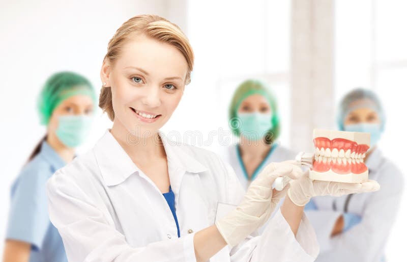 Doctor with toothbrush and jaws in hospital royalty free stock photography Doctor with toothbrush and jaws in hospital royalty free stock photography