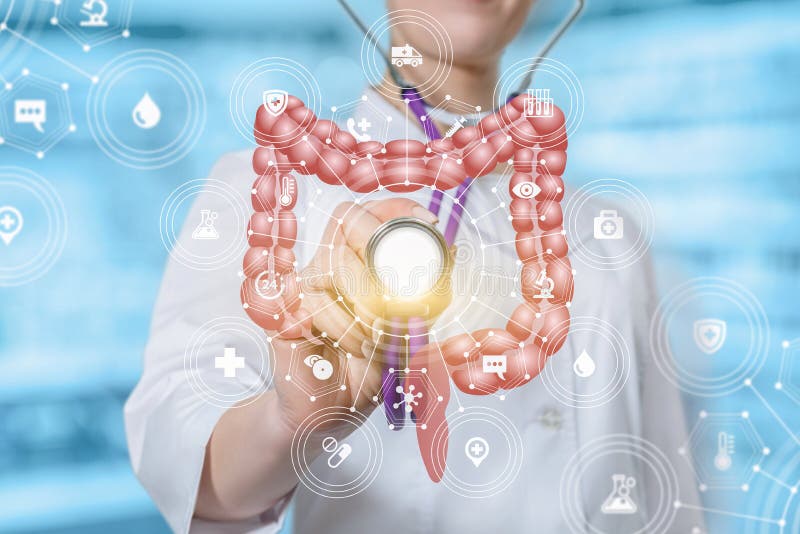 A doctor touching the medical system structure with the intestines model with a stethoscope vector illustration A doctor touching the medical system structure with the intestines model with a stethoscope vector illustration