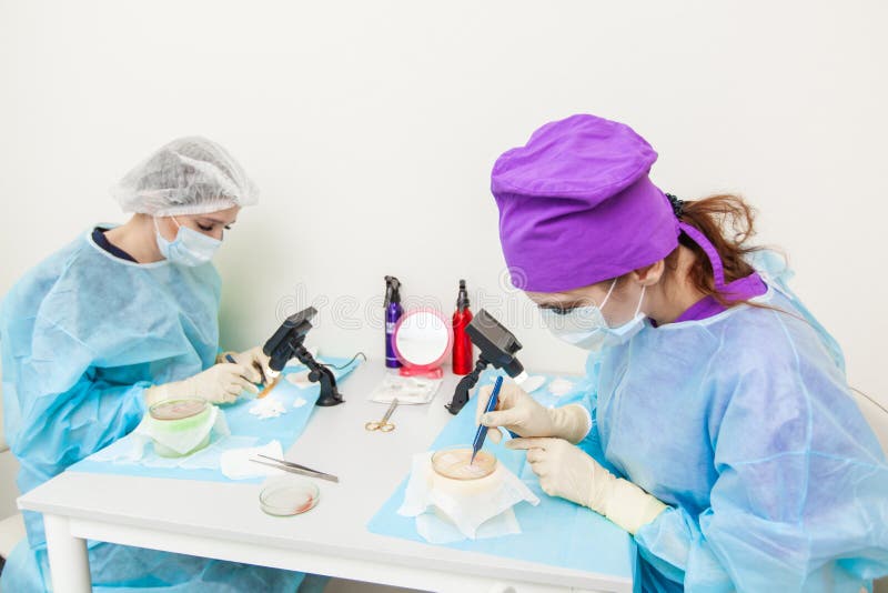 The doctor under the microscope recalculates the hair follicles. Baldness treatment. Hair transplant. Surgeons in the royalty free stock images The doctor under the microscope recalculates the hair follicles. Baldness treatment. Hair transplant. Surgeons in the royalty free stock images