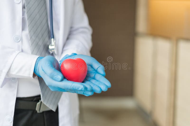 Doctor Wear White Coat and His Hand with Blue Glove Holding a Red Heart ...