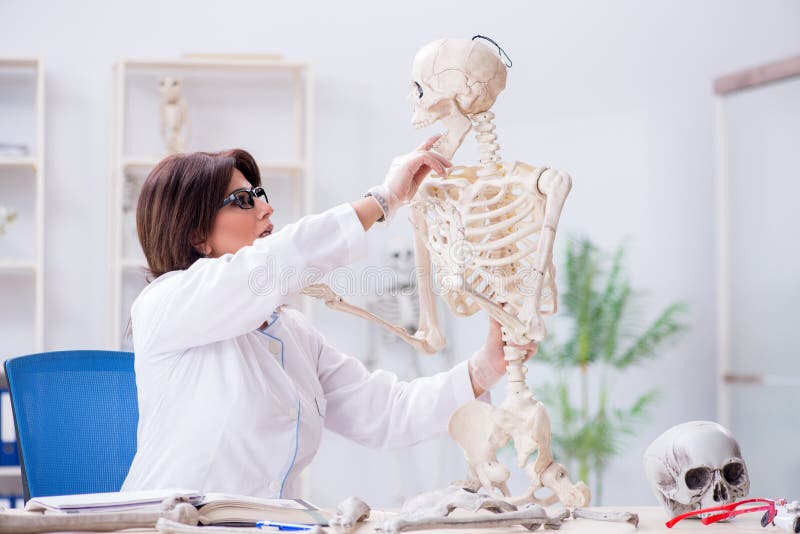 The Doctor Working in the Lab on Skeleton Stock Photo Image of doctor