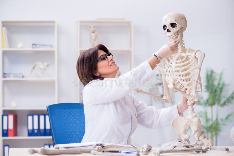 The Doctor Working in the Lab on Skeleton Stock Image Image of