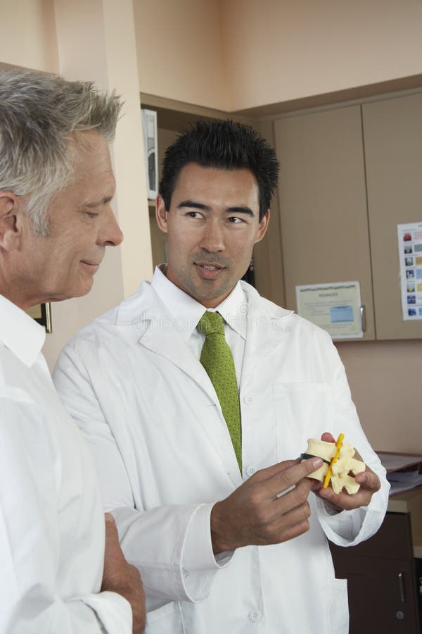 Doctors Looking at Medical Model Stock Image Image of coat, anatomical 29658083