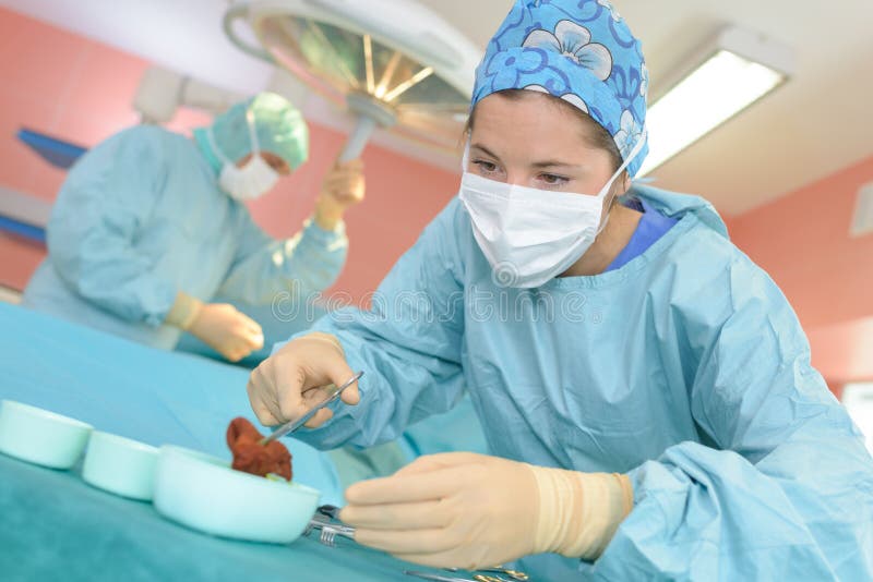 Removing organ from body stock photo. Image of patient 95482412