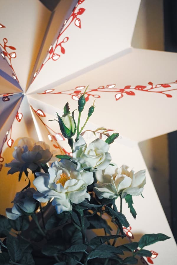 Document ster met bloemen royalty-vrije stock afbeelding