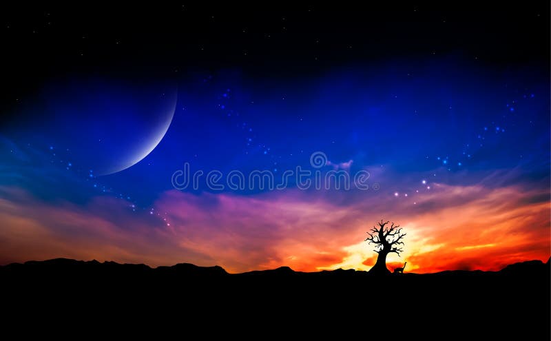 Dode boom bij zonsondergang royalty-vrije stock foto Dode boom bij zonsondergang royalty-vrije stock foto