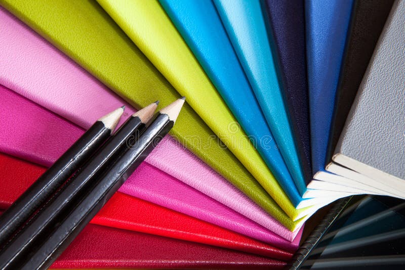 Dodici diari immagine stock libera da diritti Dodici diari immagine stock libera da diritti