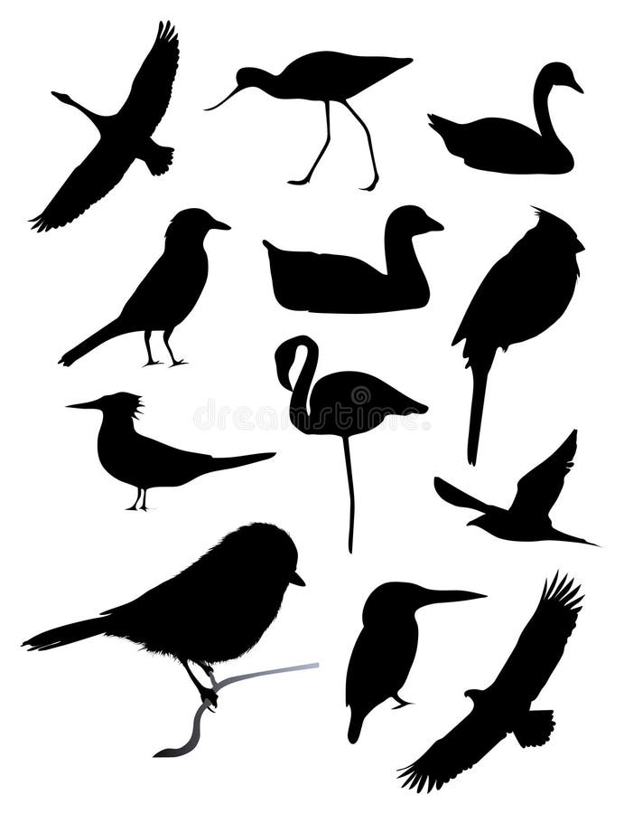 Dodici siluette dell'uccello royalty illustrazione gratis Dodici siluette dell'uccello royalty illustrazione gratis